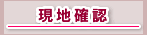 現地確認